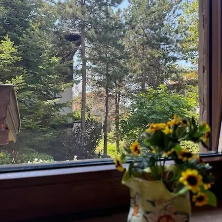 Appartement Niko's Sozopol