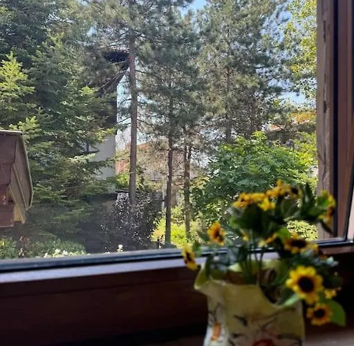 Apartmán Niko's Sozopol